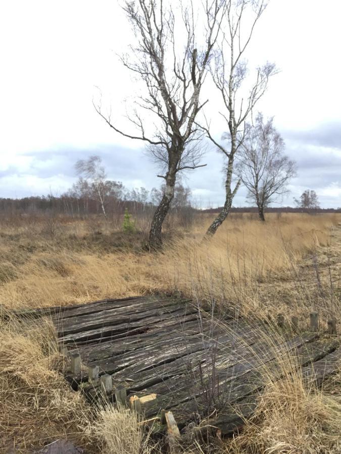 Kranich-Holzferienhaus 'Kleine Auszeit' Rehden Екстер'єр фото