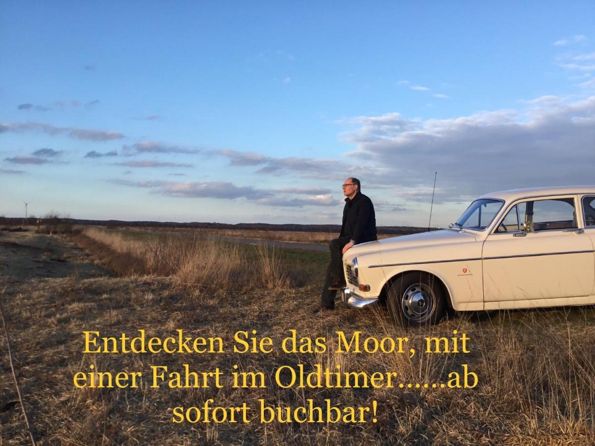 Kranich-Holzferienhaus 'Kleine Auszeit' Rehden Екстер'єр фото