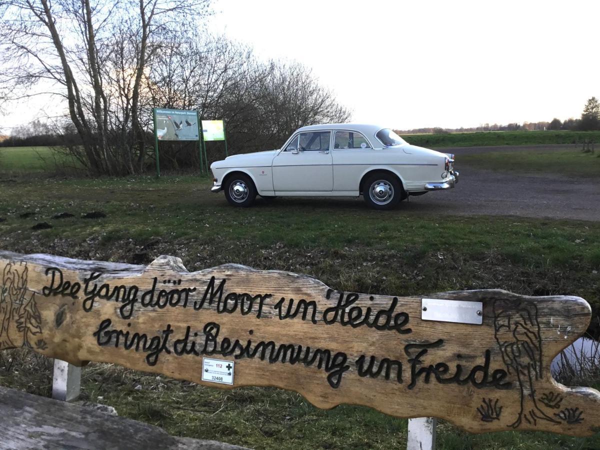 Kranich-Holzferienhaus 'Kleine Auszeit' Rehden Екстер'єр фото